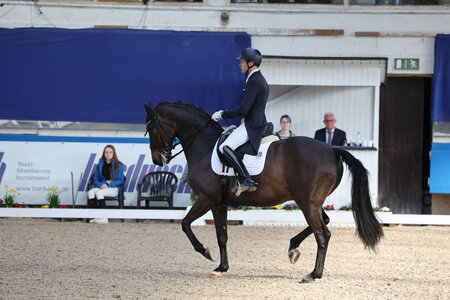 Thomas Wagner und Filigrano Marone siegen im Pforzheimer Grand Prix. | © D. Matthaes