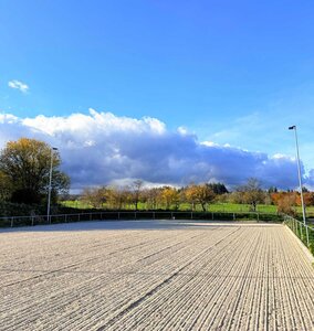Beste Bedingungen: Der Dressurplatz in Karlsbad-Ittersbach