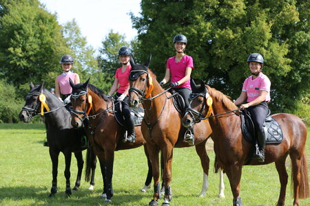 Der Schulpferdecup startet in Blaubeuren. | © Knisel-Eberhard