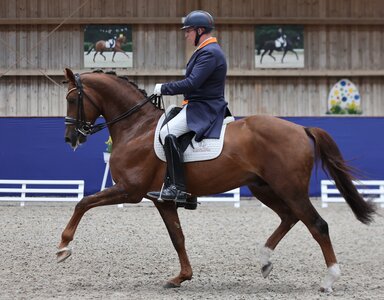 Pieter van der Raadt mit DSP C'cinzano | © D. Matthaes