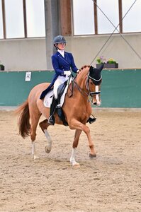 Anne Haggenmüller und DSP Sonnerie Souveraine trabten auf dem Waldhauser Hof zu mehreren Dreisterne-Platzierungen. | © Dill
