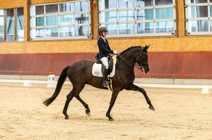 Laura Kohoutek ist mit Shakeela für das Sichtungsturnier in Kronberg nominiert. | © Bambi Fotografie