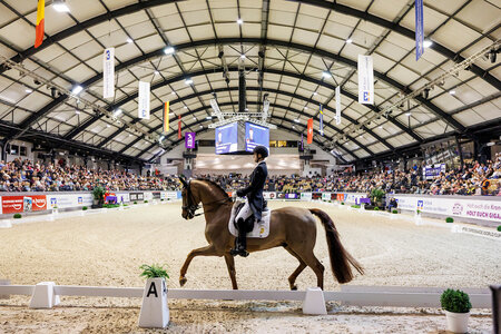 Moritz Treffiner mit Fiderdance neulich in Neumünster  | © Lafrentz
