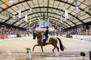 Moritz Treffiner mit Fiderdance neulich in Neumünster  | © Lafrentz