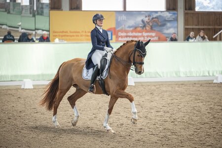 Carina Harnisch und Secret's Sensation trabten zu Platz zwei in der Walldorfer Jungpferde-S-Dressur. | © Talia Klefenz