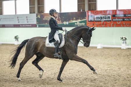 Vorbildliche Trabverstärkung: Valerie del Rio Pfeffer auf Braveheart | © www.taliaklefenz-fotografie.de