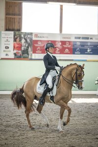 Ann-Cathrin Rieg und Steendieks Derrick siegen in der Intermediaire II von Walldorf. | © Talia Klefenz
