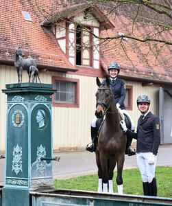 Marbacher Frühling 2026: Online Reitpferdeauktion am 04. Mai 2026 mit qualitätvollen Reitpferden für Dressur, Springen, Eventing und Freizeit  | © Hubert Fischer (frei)
