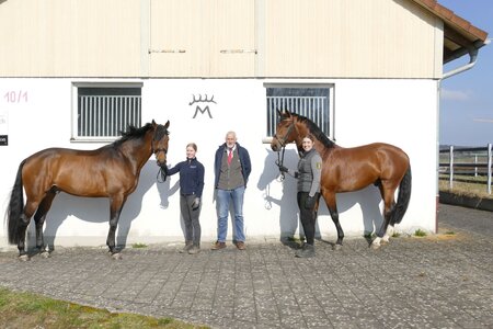 v.li. Zensus an der Hand von Lousia Matzinger, Elton mit Servicestellenleiterin Pauline Jopp mit dem 1. Vorsitzenden des Pferdezuchtvereins Biberach Bruno Hummler | © Gaum (PM)