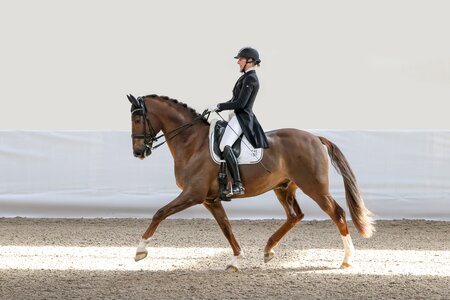 Claudia Rassmann und Villepetit trabten in Neuenburg-Grißheim zu zwei S-Siegen. | © as-fotograf