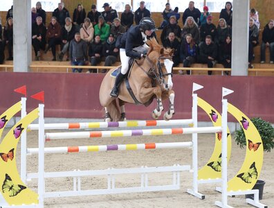 Thomas o'Brien siegte im abschließenden S-Springen von Balingen. | © Roger Müller
