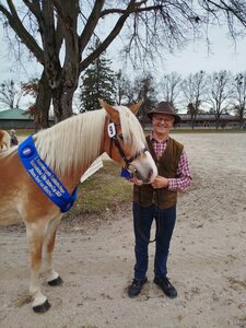 Haflinger-Züchter Berthold Hänle (hier mit seiner Stute Nina) sieht man die 70 wahrlich nicht an.  | © Foto: Familie