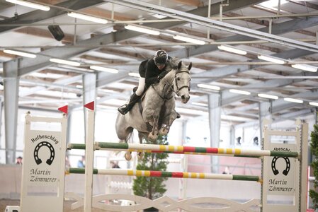Seiner  Mutter Calidos Ass wie aus den Gesicht geschnitten: Saint Vidal in Wiesental | © Ronja Prokosch