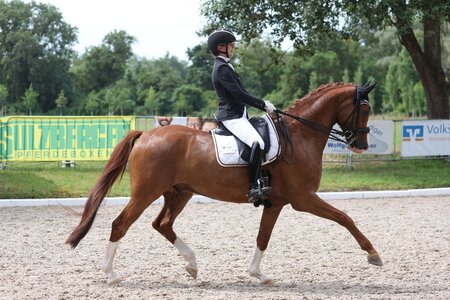 Fabienne Fürst und Sir Daily Diamond trabten in Hauerz zum S-Sieg. | © D. Matthaes (Archiv)