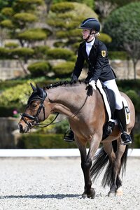 Stella-Sofie Mankowski und Assensmachers Gentleman sicherten sich in Kronberg am Finaltag einen Podestplatz. | © Mirka Nilkens