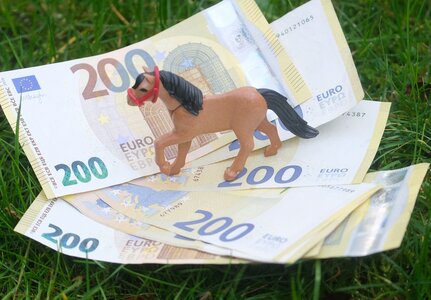 Die von der Agentur AFC Public Services zurzeit erarbeitete Evaluierung der GOT lässt vermuten, dass man die Tierarzthonorare noch weiter anheben will. | © Thomas Hartwig