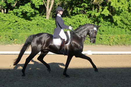 Anna-Lisa Stotmeister und Best of Bond siegen in der ersten S-Dressur von Konstanz. | © D. Matthaes