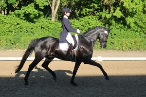 Anna-Lisa Stotmeister und Best of Bond siegen in der ersten S-Dressur von Konstanz. | © D. Matthaes