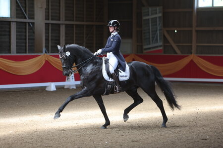 Anna-Lisa Stotmeister und Best of Bond trabten in Konstanz zum S**-Sieg. | © D. Matthaes