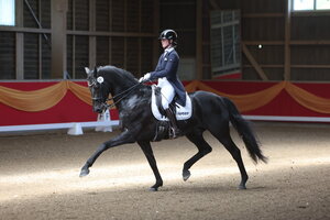 Anna-Lisa Stotmeister und Best of Bond trabten in Konstanz zum S**-Sieg. | © D. Matthaes