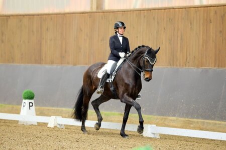 Andrea Dlugos und Fine Lady  trabten in Schopfheim zum S*-Sieg. | © Dill