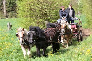 In Bad Schussenried werden in diesem Jahr Medaillen vergeben. | © Knisel-Eberhard