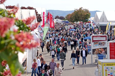 Ein Schlendern über den Maimarkt gehört beim Besuch des Mannheimer Maimarkt Reitturniers dazu. | © Maimarkt-Gesellschaft