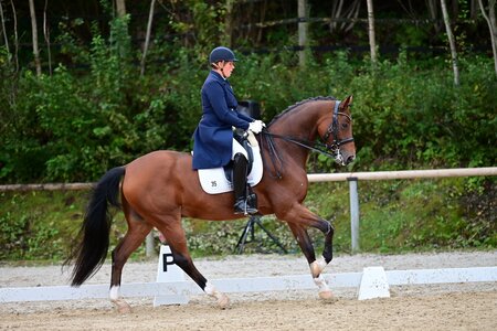 Cordula Holz ist wieder zurück im Ländle und nun in Weilheim beheimatet. | © privat