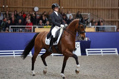 Leonie Laier und Dein Freund trabten in Saarlouis zu einem Dreisterne-S-Sieg. | © D. Matthaes (Archiv)