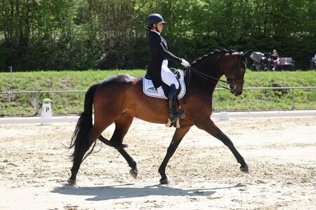 Marielle Anumu und Treffinger's First Florence sicherten sich in Zaisenhausen den ersten gemeinsamen S-Sieg. | © D. Matthaes