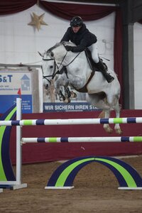 Maximilian Weißbrod siegt mit D'Artagnan im Großen Preis von Neustadt. | © D. Matthaes (Archiv)
