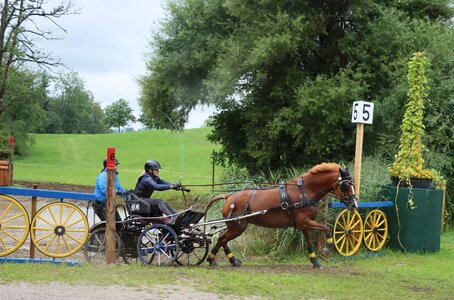 Luisa Dietrich und ihre Stute "Socke" holen in Selestat Rang eins | © Herbert Rauser (Archiv)