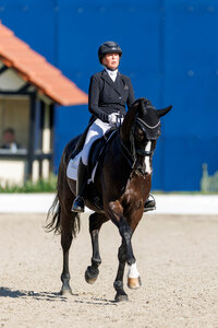 Nicole Casper und Birkhof's Zabalou begeisterten in der Qualifikation zum Louisdor-Preis. | © Lafrentz