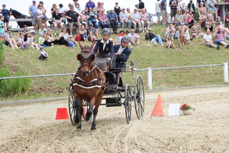 Ciara Schubert und ihre Stute Lassila sind nach einem Jahr Pause wieder zurück | © Herbert Rauser (Archiv)
