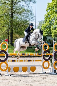 Gabriella Thess siegte mit Katootje Blue bei der ersten Qualifikation des Nürnberger Burgpokals. | © Bambi Fotografie