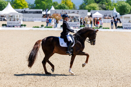 Isabell Werth und Viva Gold OLD siegten auch im Mannheimer Grand Prix Special. | © Lafrentz
