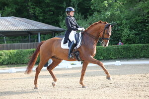 Ramona Ritzel mit DSP Zampano trabten in der Böblinger Intermediaire A zum ersten Dreisterne-S-Sieg. | © D. Matthaes