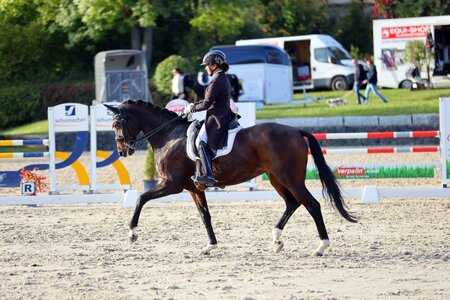 Andrea Dlugos und Fleur d'Espoir trabten in Schwaigern zu einem S*-Sieg. | © Dill (Archiv)