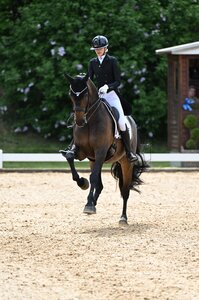 Simone Pearce und Will Marq galoppierten auch im Grand Prix Special auf 3*-Niveau zum Sieg. | © Hubert Fischer