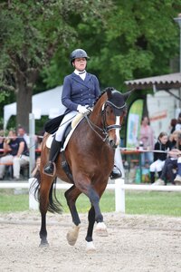 Vanessa Prietz und Quentin trabten in Schwendi zum ersten S**-Sieg. | © D. Matthaes