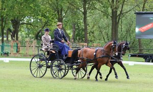 Steffen Brauchle wird Deutscher Vizemeister der Pony-Zweispänner | © Herbert Rauser