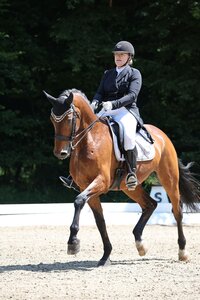 Claudia Kaiser und Sweetheart trabten in Weil am Rhein zu einem S-Sieg. | © D. Matthaes