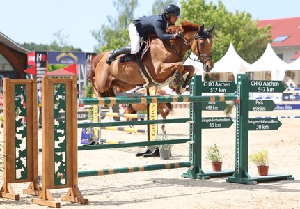 Maximilian Schmid siegt mit Hetty Emaire im Großen Preis der Winterlingen Winners. | © Roger Müller
