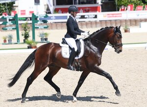 Vino Veritas unter dem Sattel von Anna Casper führte die Gert Gussmann Cup Qualifikation an. | © Roger Müller