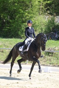 Laura Obenland und All Easy trabten in Heidenheim-Aufhausen zu einem S*-Sieg. | © D. Matthaes (Archiv)