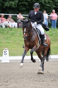 Nicole Kohler galoppierte mit Fontalora in Bad Schussenried zum S-Sieg. | © D. Matthaes (Archiv)