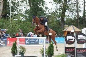 Fünfter im Großen Preis von Viernheim: Armin Schäfer und Kjandor van Overis Z | © D. Matthaes