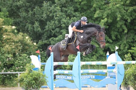 Sebastian Kemmerer und sein Ungarn-Hengst Chaccuso | © D. Matthaes