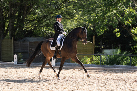 Jennifer Schaack trabte mit Bon Voyage zum Sieg in der Trense-S-Dressur. | © Carolin G. Fotografie