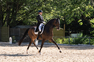 Jennifer Schaack trabte mit Bon Voyage zum Sieg in der Trense-S-Dressur. | © Carolin G. Fotografie